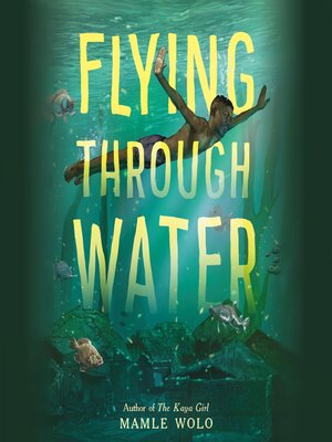 cover image of Flying Through Water